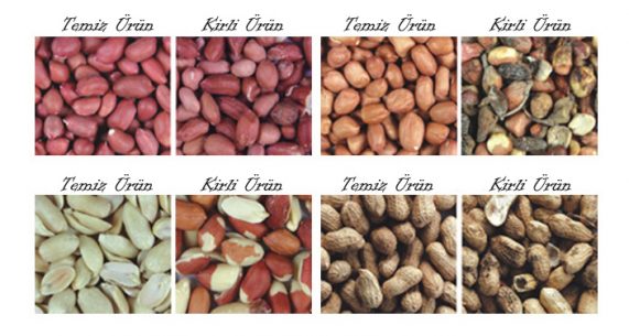 fıstık renk ayırma makinesi