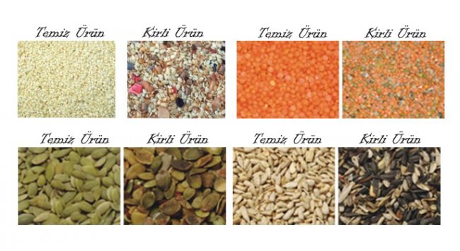 susam renk ayırma makinesi